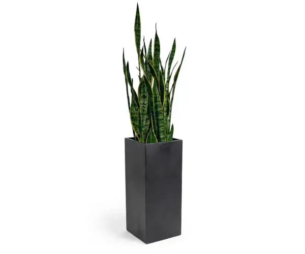 Grand Series Planter